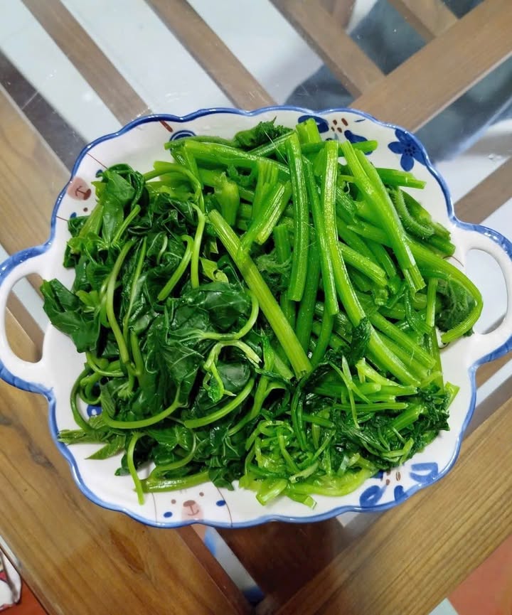 Bán đất tặng nhà cấp bốn tại Trần Hưng Đạo, Quảng Ngãi - 144m² chỉ 1.7 tỷ!