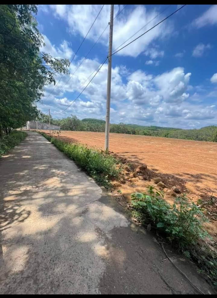 Đất nền Bù Đăng 22500m² giá chỉ 150 triệu - Cơ hội đầu tư tuyệt vời!