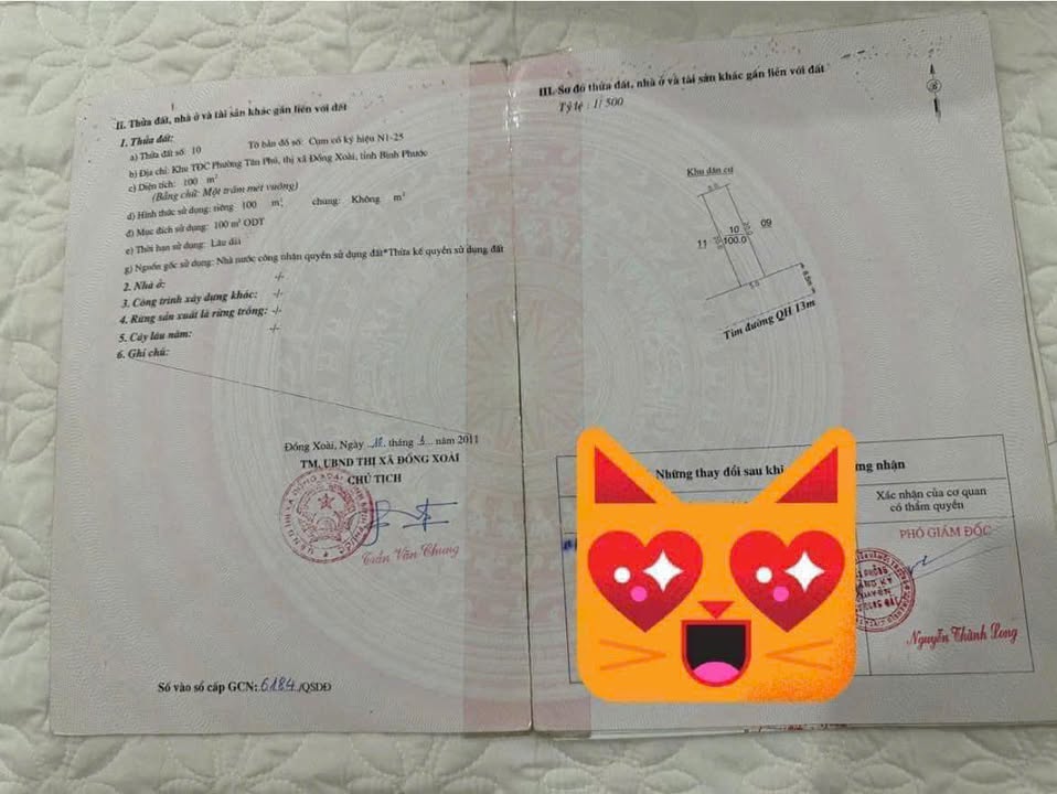 Nhà phố TDC Tân Phú Đồng Xoài 100m² giá 3.1 tỷ - Thiết kế đẹp, sẵn sàng ở ngay!