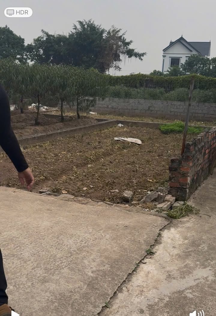 Đất nền Vân Tảo Thường Tín 40m² giá 3 tỷ - Đầu tư sinh lời ngay!