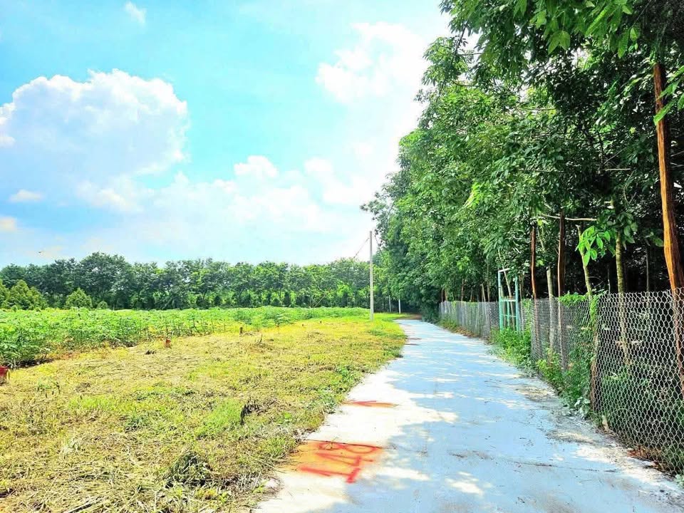 Đất nền ấp 7 Lộc An, Bình Phước 230m² chỉ 160 triệu - Đầu tư sinh lời ngay!