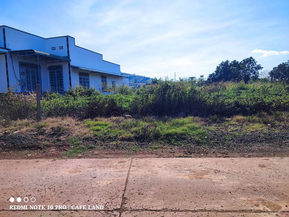 Đất nền Tân Phú, Tân Hội, Lâm Đồng 175m² giá 890 triệu - Sổ hồng chính chủ, đầu tư sinh lời!