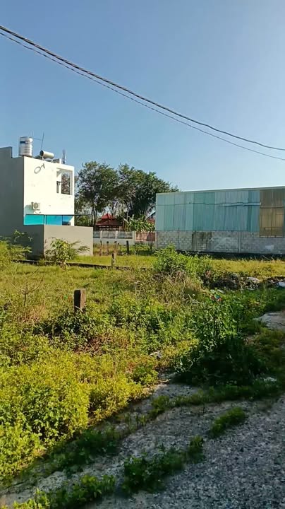 Đất thổ cư Phong Nẫm, Phan Thiết 175m² giá 920 triệu - Sổ hồng chính chủ, giao dịch nhanh chóng!