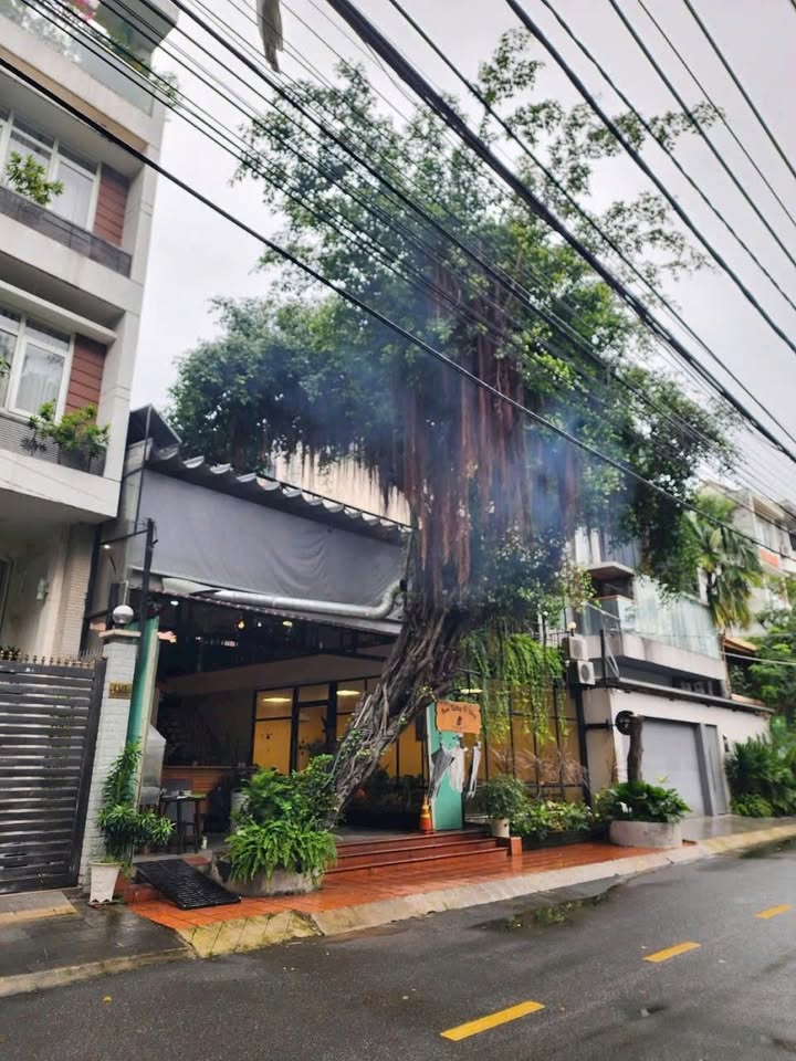 Bán đất Thảo Điền, Quận 2, 181m², giá 67 tỷ - Vị trí đắc địa ngay góc Xuân Thủy!