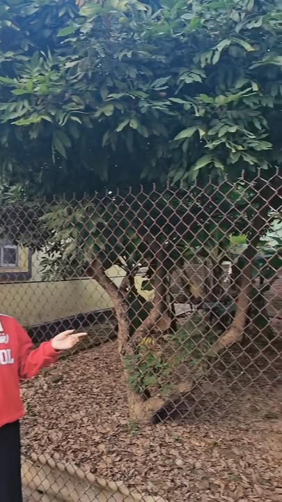 Đất nền Kim Hoa Mê Linh 73m² giá 2 tỷ - Cơ hội đầu tư hiếm có!