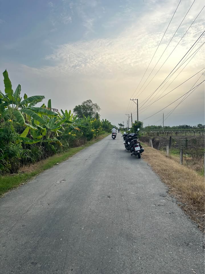 Đất nền mặt tiền An Thạnh, Bình Quới, 1872m² - Cơ hội đầu tư hấp dẫn!