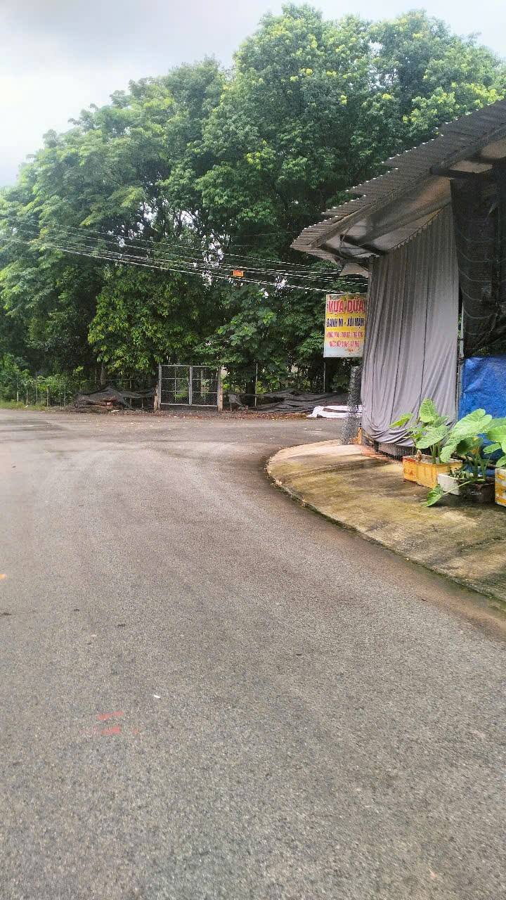 Nhà mặt tiền đường nhựa phường Uyên Hưng - Diện tích 150m², giá chỉ 2 tỷ!