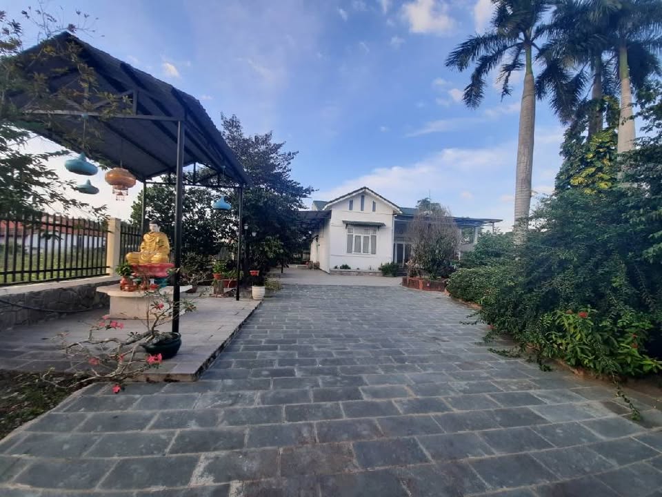 Nhà vườn Củ Chi 922.5m² giá 10.5 tỷ - Thiết kế biệt thự sang trọng!