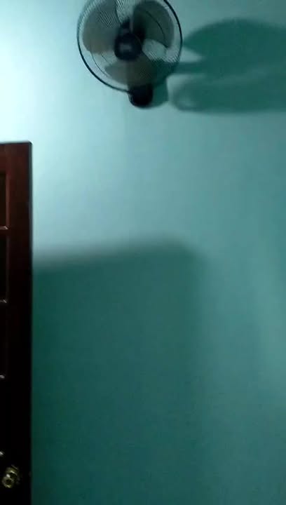 Nhà nguyên căn hẻm Kim Đồng, Pleiku 2 triệu - Nhà đẹp, ô tô vào tận nơi!