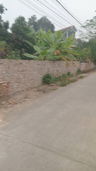 Đất Tân Lập Sông Lô 641m² giá 6.486 tỷ - Đầu tư sinh lời hấp dẫn!