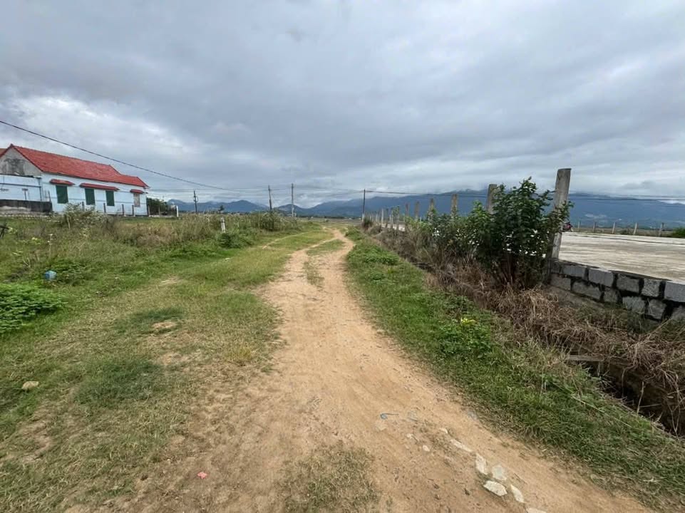 Đất đấu giá Tân Định - Ninh Hòa 345m² giá chỉ 3.5 triệu/m² - Cơ hội đầu tư tuyệt vời!