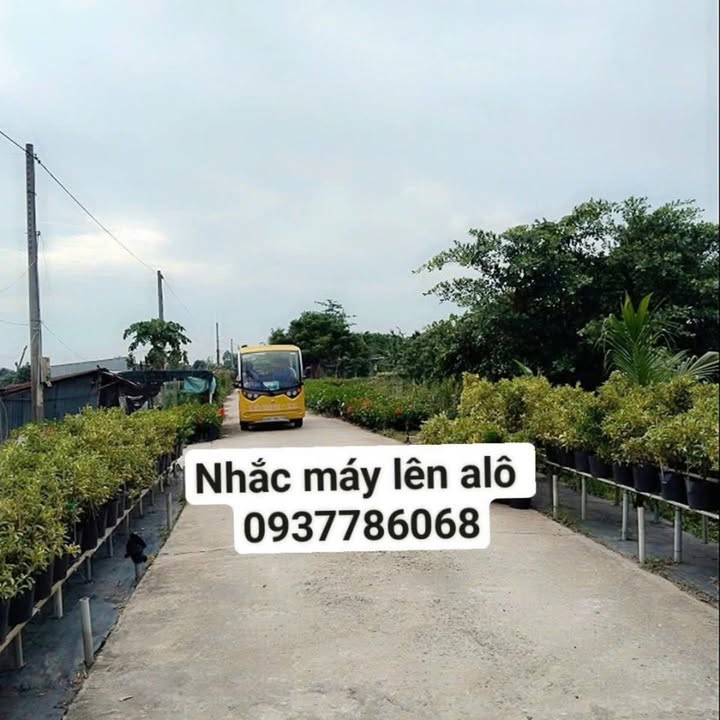 Đất mặt tiền Tân Khánh Đông, Sa Đéc 2400m² - Đầu tư sinh lời ngay!