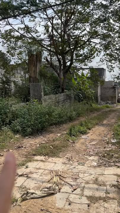 Đất thổ cư Thị Trấn Triệu Sơn 140m² giá 2 tỷ - Vị trí kinh doanh đắc địa!