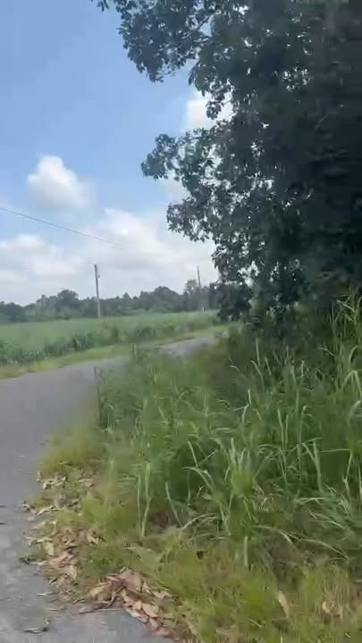 Đất nền Thạnh Tây, Tân Biên 200.000m² - Ba mặt tiền đường, đầu tư sinh lời cao!