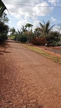 Đất thổ cư Pơng Drang 222m² giá 1.2 tỷ - Cơ hội đầu tư tuyệt vời!