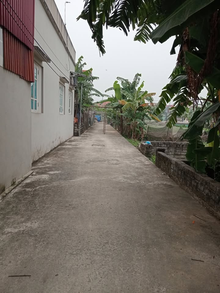 Nhà riêng Thường Tín Hà Nội 59,3m² giá 4 tỷ - Đường rộng ô tô đỗ cửa!