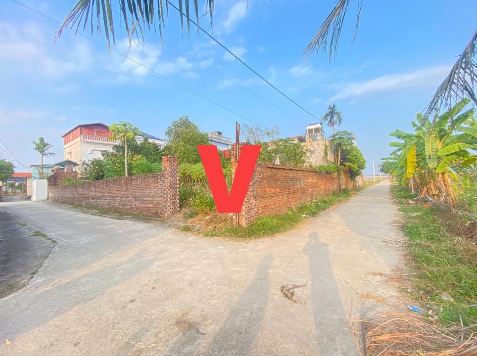 Đất nền Đồng Phúc - Yên Dũng 100m² giá 1 tỷ - Đầu tư sinh lời ngay!