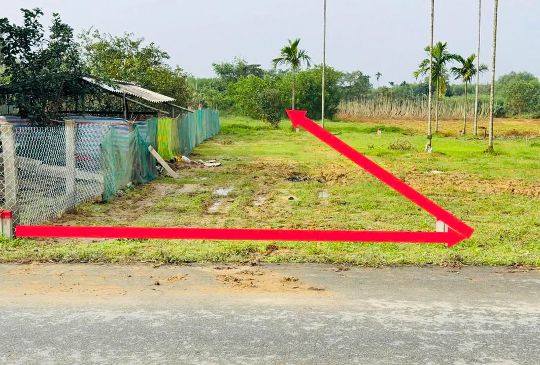 Đất nền mặt tiền tỉnh lộ 6B Phong Hoà 190m² giá 400 triệu - Cơ hội đầu tư hấp dẫn!