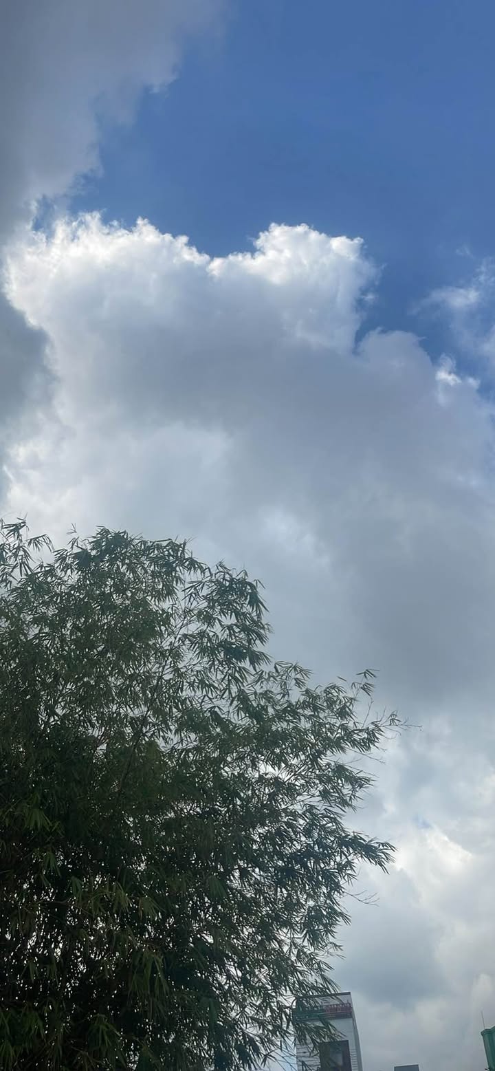 Nhà cấp 4 đường Tô Hiệu, Đà Nẵng - Giá thuê thỏa thuận, gần trường Tiểu học Duy Tân