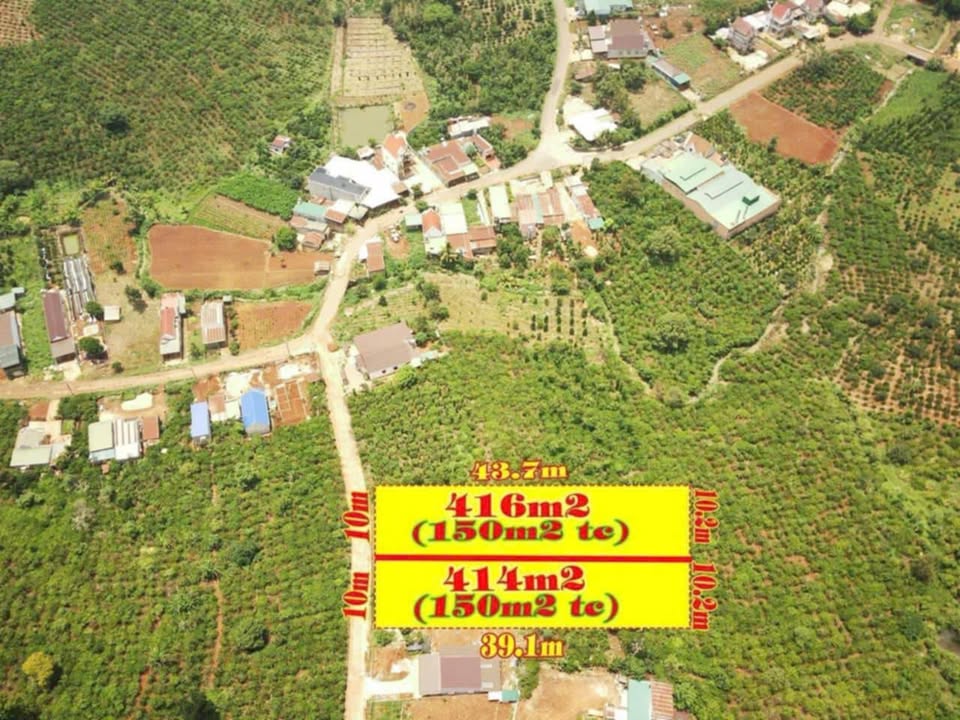 Đất nền Tân Nghĩa, Di Linh 800m² giá 4 tỷ - Đầu tư sinh lời tuyệt vời!