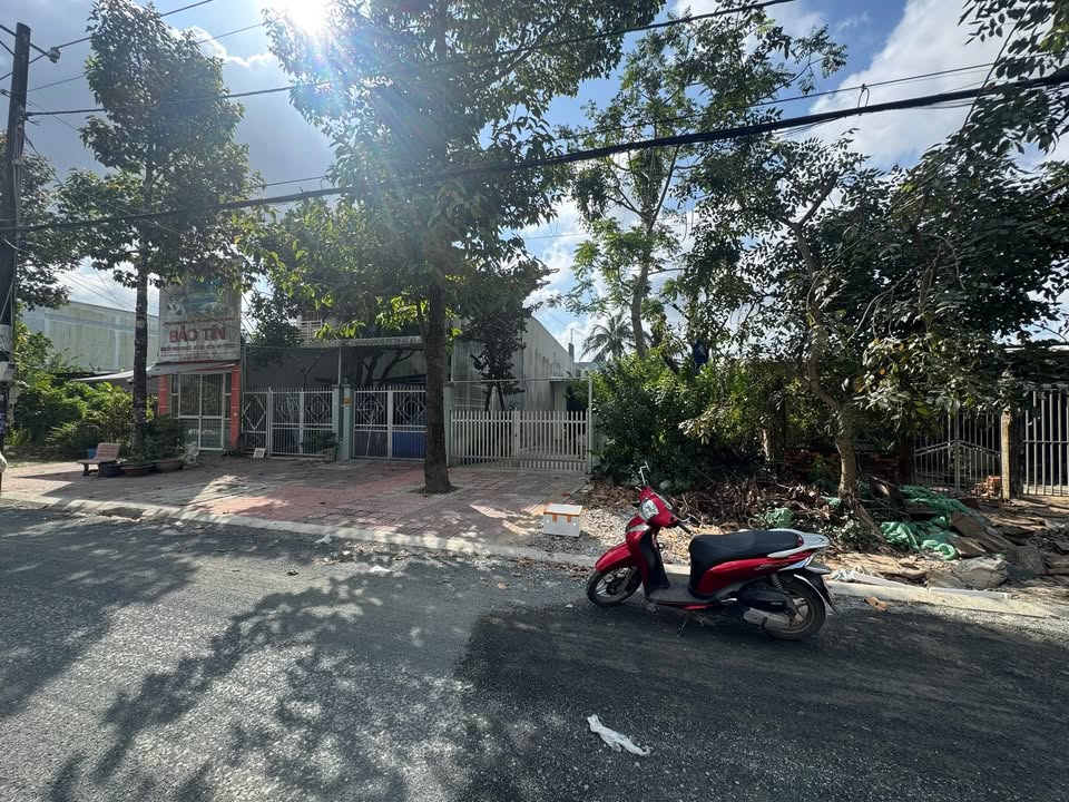 Đất nền đường Tạ Uyên, P9 Cà Mau 96m² giá chỉ 1.6 tỷ - Sổ đỏ chính chủ!