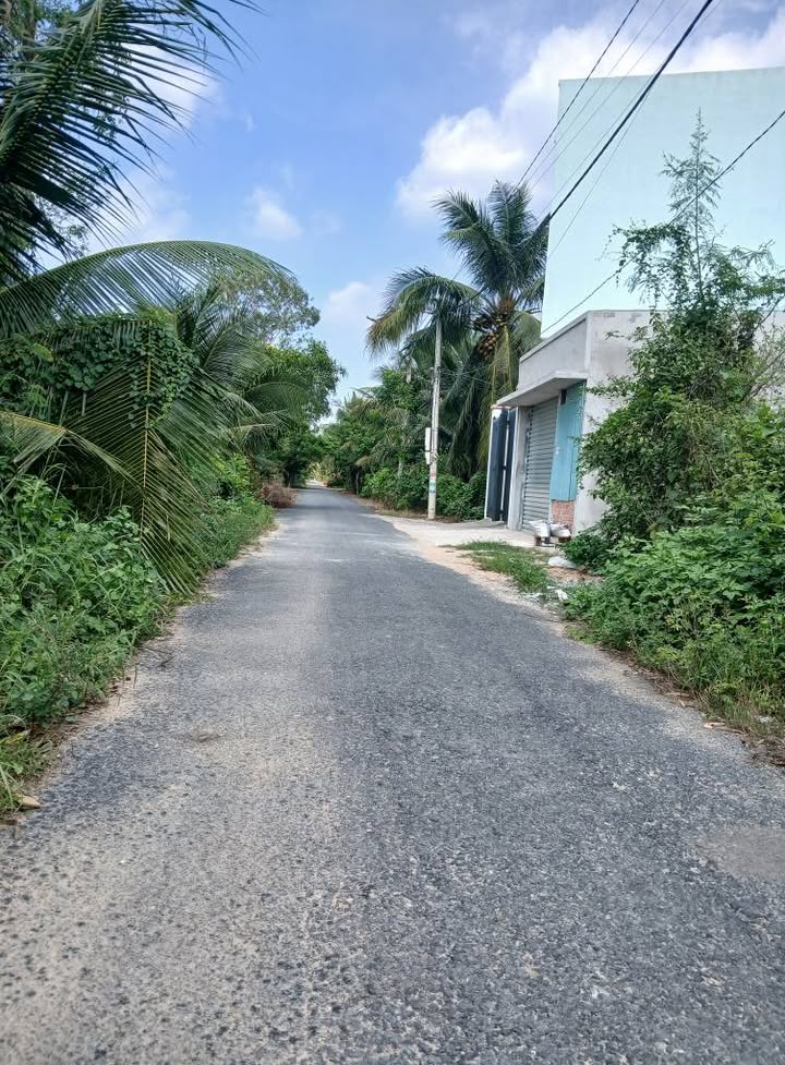 Đất nền Tân Mỹ Chánh 100m² giá chỉ 500 triệu - Đầu tư sinh lời ngay!