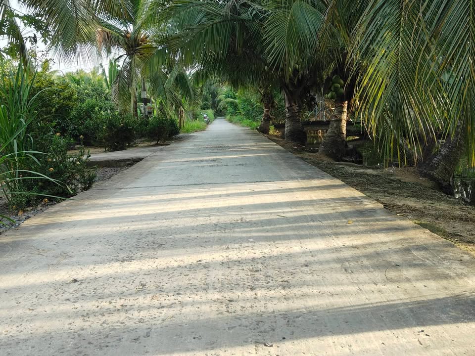 Đất thổ cư Ấp Bình Trung, xã Vĩnh Bình, 252m² chỉ 290 triệu - Cơ hội đầu tư hấp dẫn!