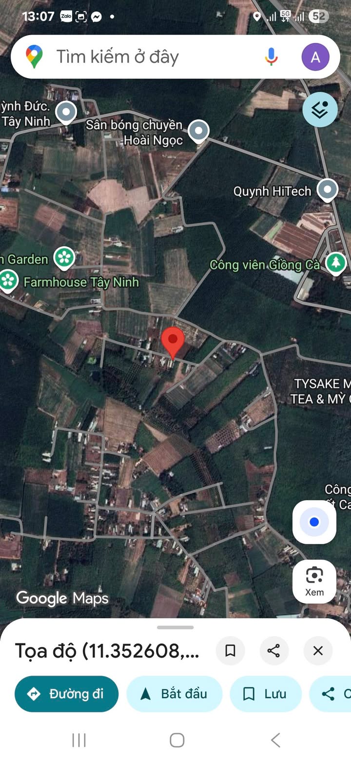 Đất nền Giồng Tre, Bình Minh, Tây Ninh 1146m² - Giá tốt, đầu tư sinh lời!