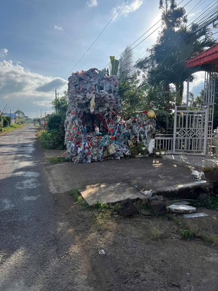 Nhà mặt tiền đường Bùi Thị Xuân, Bảo Lộc 220m² giá 5.9 tỷ - Cơ hội đầu tư kinh doanh!