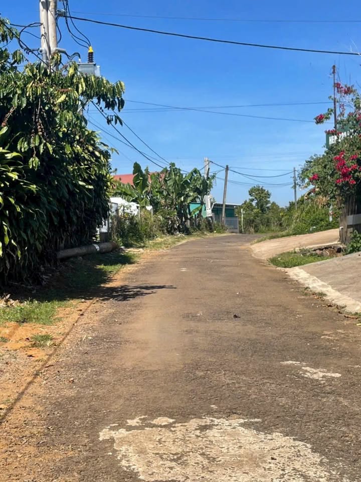 Đất nền 1367m² tại Bảo Lộc - Giá chỉ 3.9 tỷ - Cơ hội đầu tư hấp dẫn!