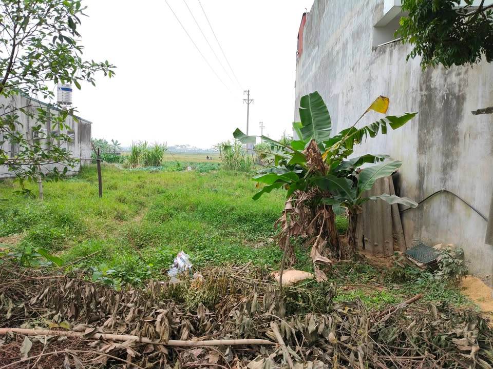 Đất nền Đa Mai Bắc Giang 144m² giá 1.4 tỷ - Cơ hội đầu tư hấp dẫn!