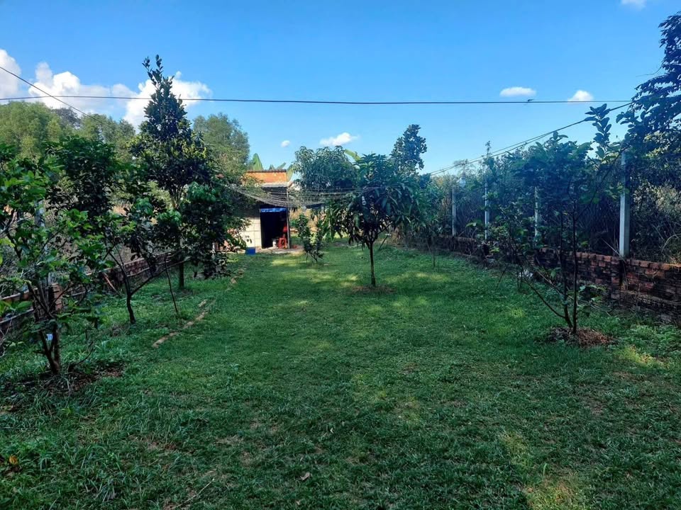 Nhà vườn 303m² tại khu phố 6, phường Vĩnh Tân - Giá chỉ 1.6 tỷ!