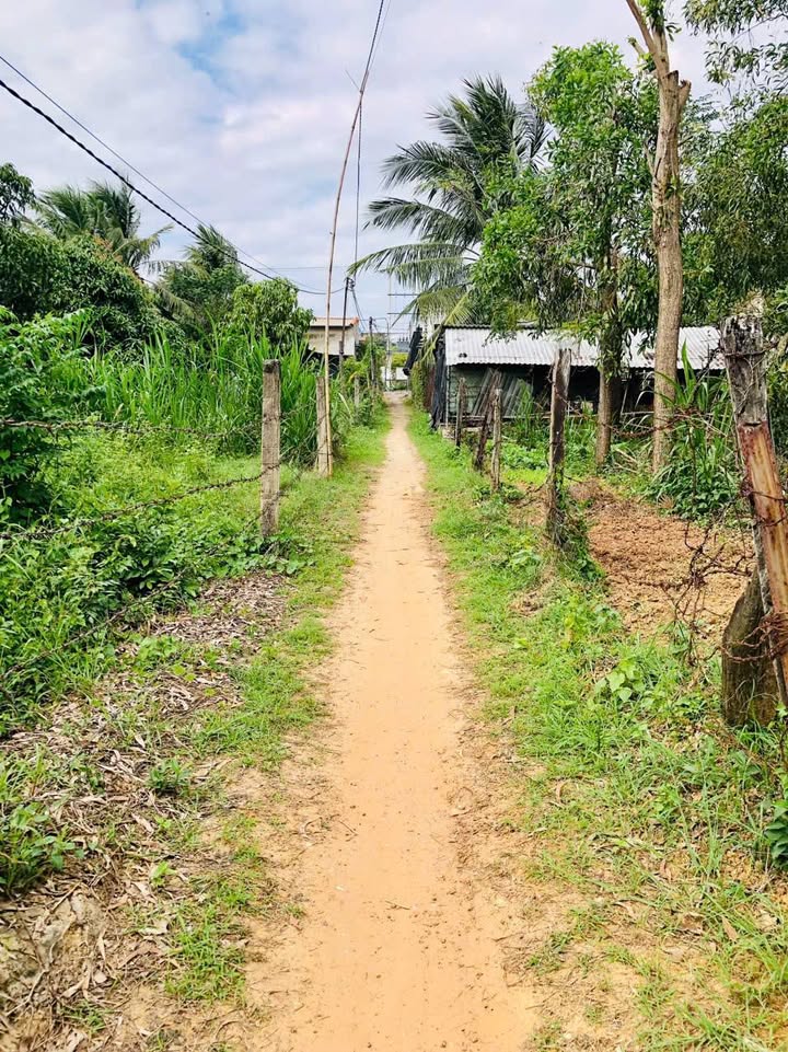 Đất nền thổ cư Lạc Bình, Bắc Ninh Hòa 420m² giá 4,2 triệu - Đầu tư sinh lời ngay!