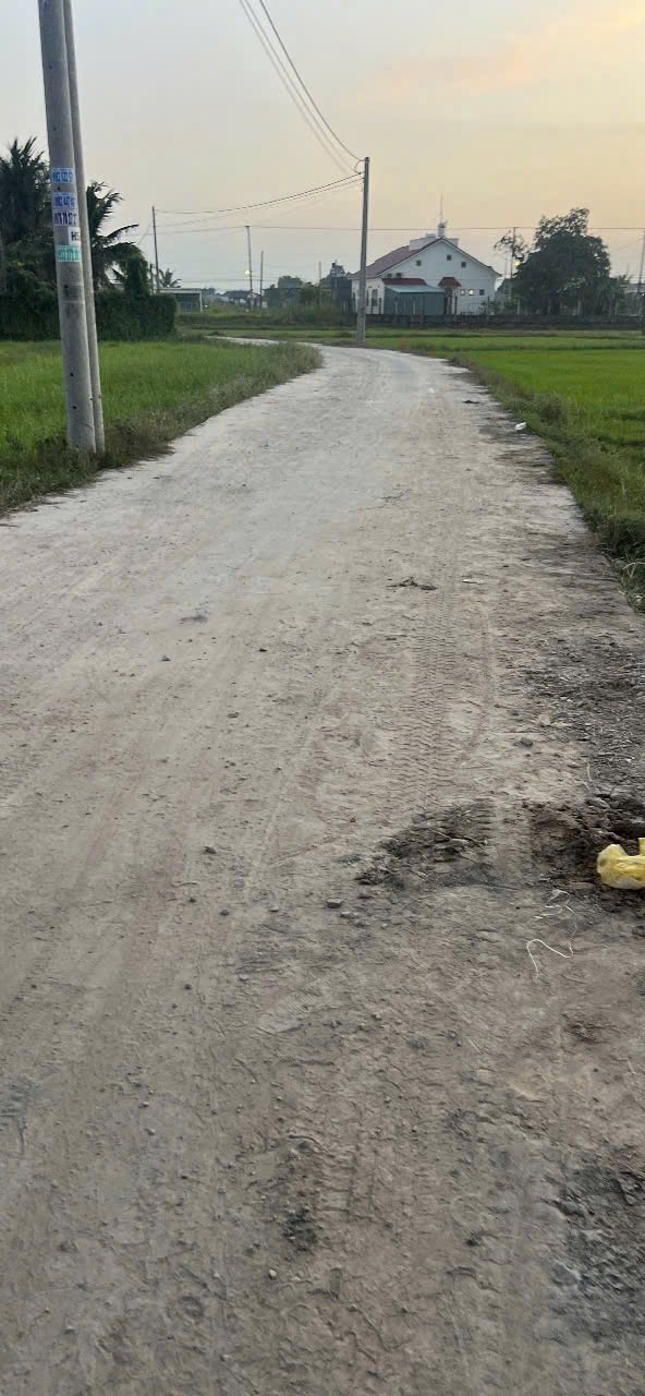 Đất nền Tỉnh Lộ 9, Mỹ Hạnh, 115m² giá 950 triệu - Sổ đỏ chính chủ!