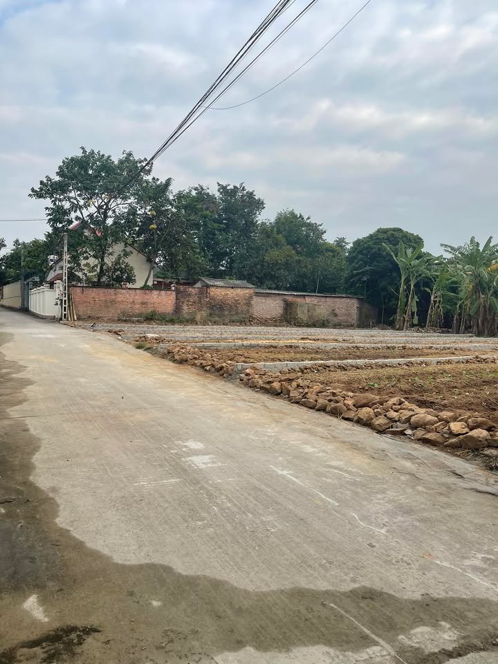 Đất nền Quỳnh Sơn, Yên Dũng 120m² giá đầu tư - Cơ hội vàng cho nhà đầu tư!