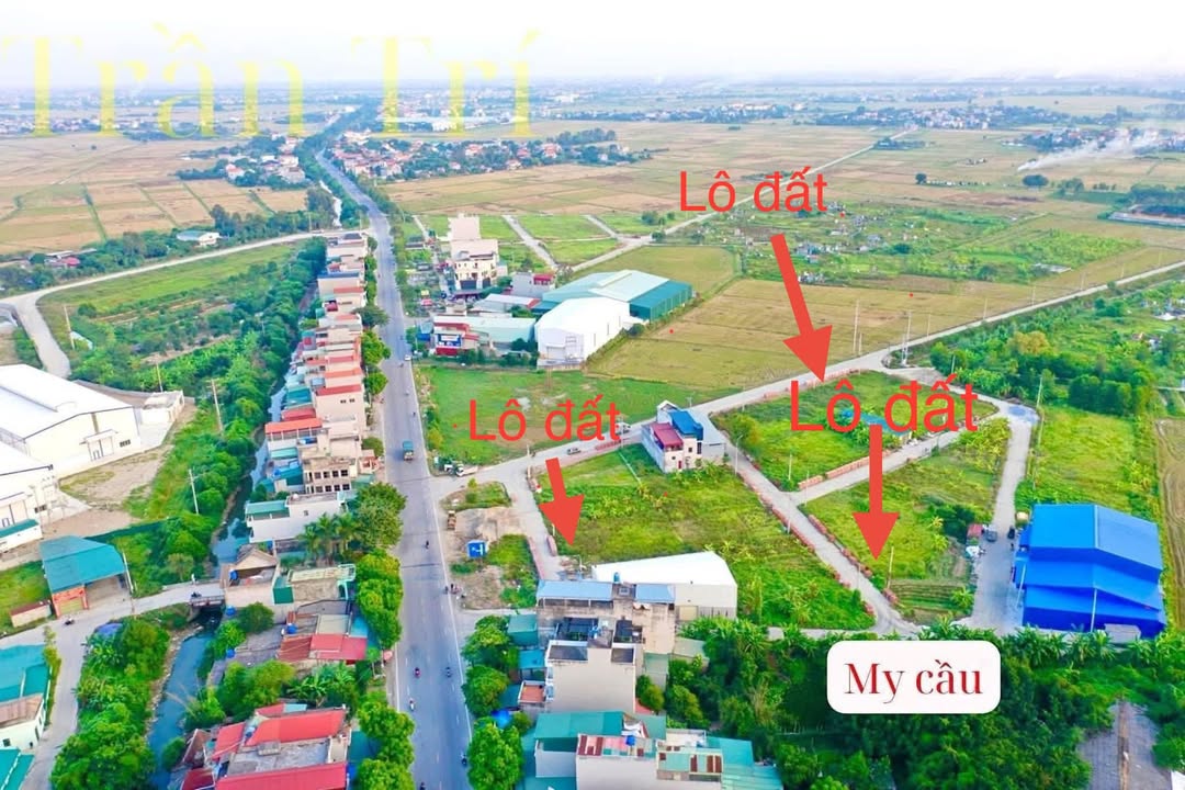 Đất nền Đường An, Vĩnh Bảo, Hải Phòng - Diện tích 99m², Giá chỉ 2.2 tỷ - Cơ hội đầu tư hấp dẫn!