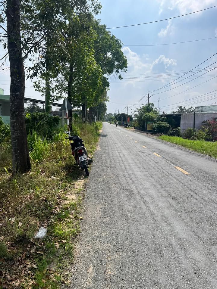 Đất lúa mặt tiền Nguyễn Thông, Phú Ngãi Trị 4.300m² giá 5.16 tỷ - Đầu tư sinh lời!