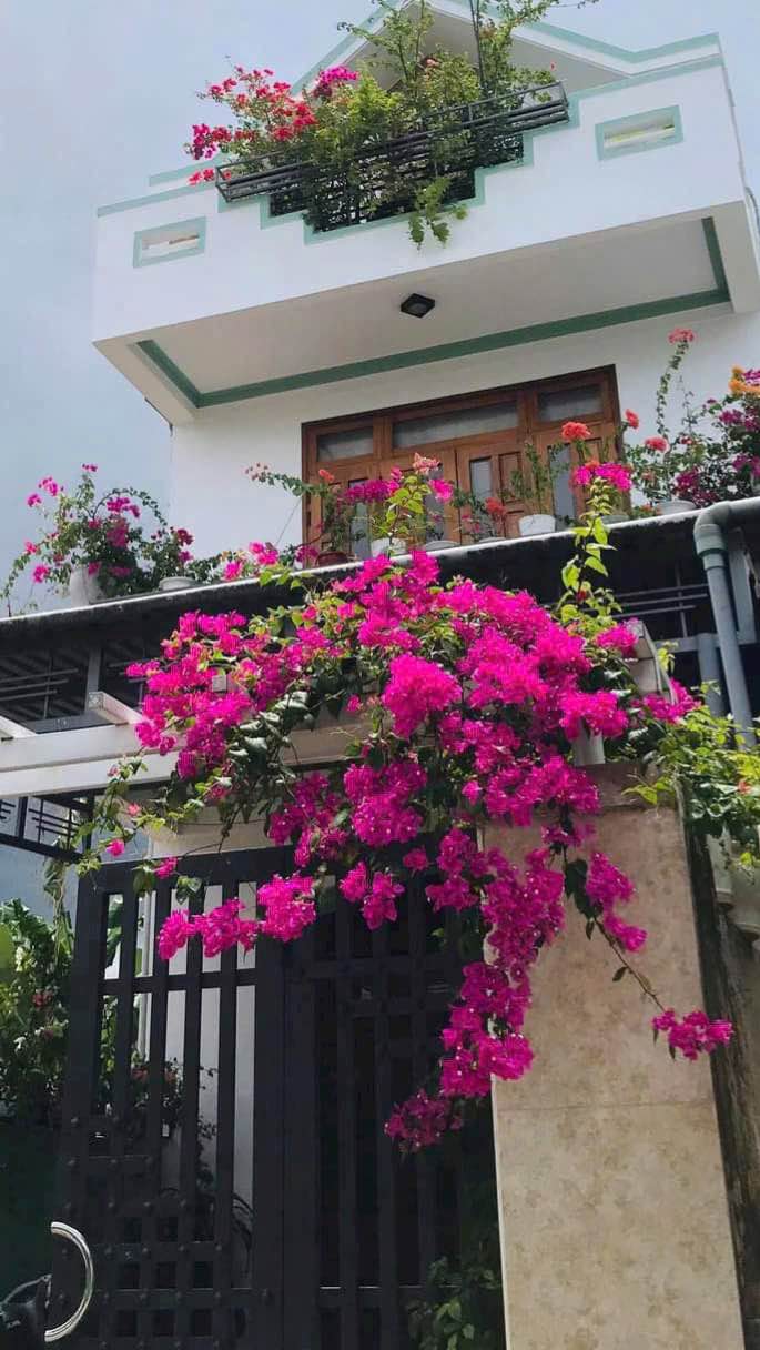 Nhà 3 tầng Đặng Văn Ngữ, TP. Huế 80m² giá 3 tỷ - Phù hợp kinh doanh Homestay