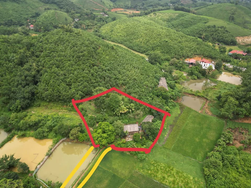 Đất Farm Địch Quả Thanh Sơn 2224m² giá 1 tỷ - Pháp lý rõ ràng, view đẹp!
