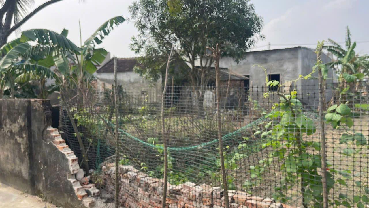 Đất nền đẹp xã Hoằng Đông 145m² giá 600 triệu - Đầu tư sinh lời ngay!