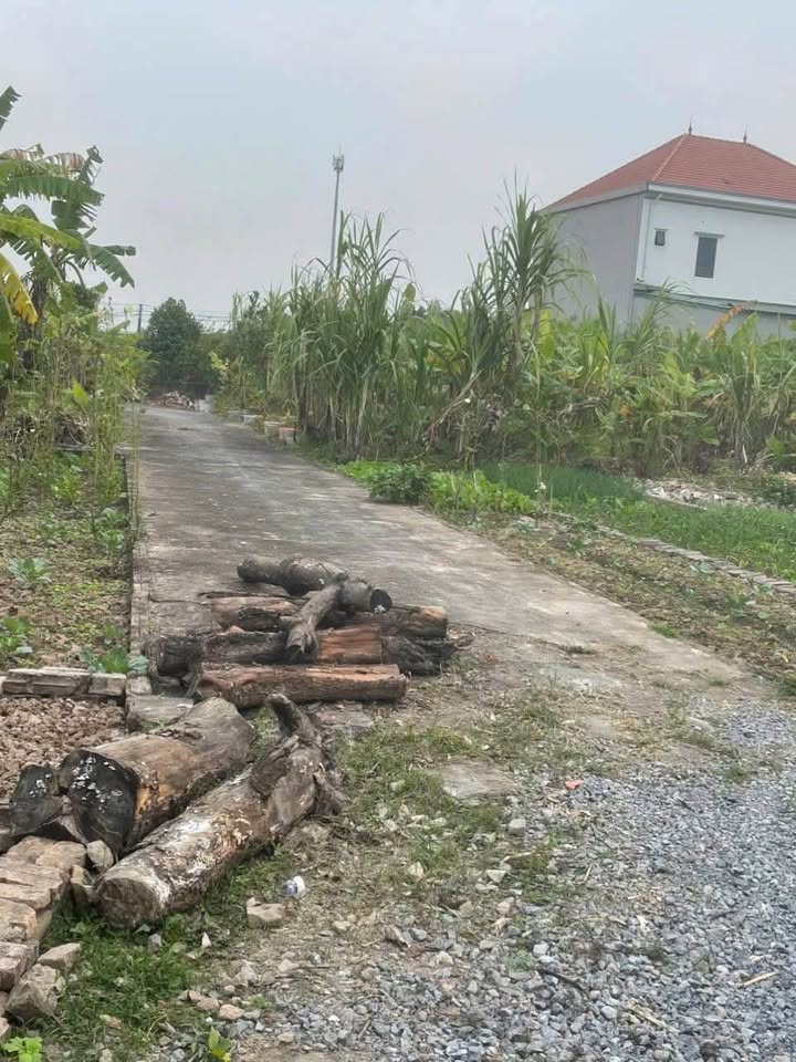 Đất nền Thôn Thuần Xuyên, Hưng Long, 70m² giá 1.4 tỷ - Đầu tư sinh lời cao!