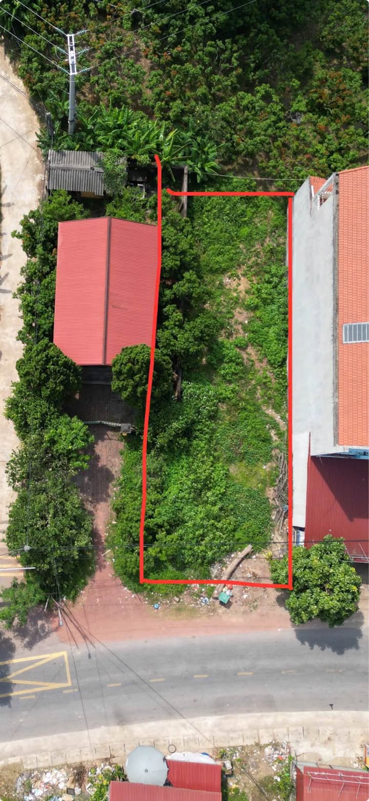 Đất nền Tân Sơn Lục Ngạn 234m² giá 1.2 tỷ - Khu vực kinh doanh sầm uất!