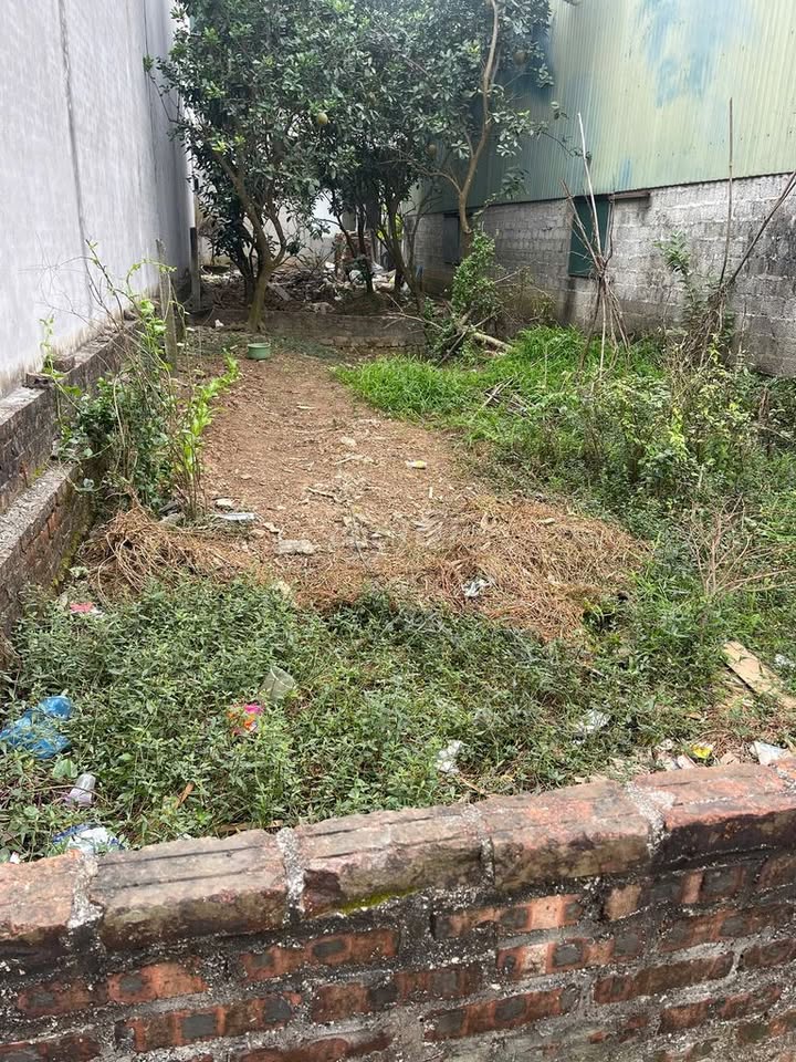 Đất nền Ngọc Liệp, Quốc Oai 60,5m² giá 4.205 tỷ - Đầu tư sinh lời hiệu quả!