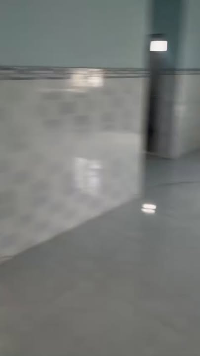 Nhà vườn cho thuê tại Phước Vân, Cần Đước, Long An - Diện tích 1000m² chỉ 3 triệu/tháng!