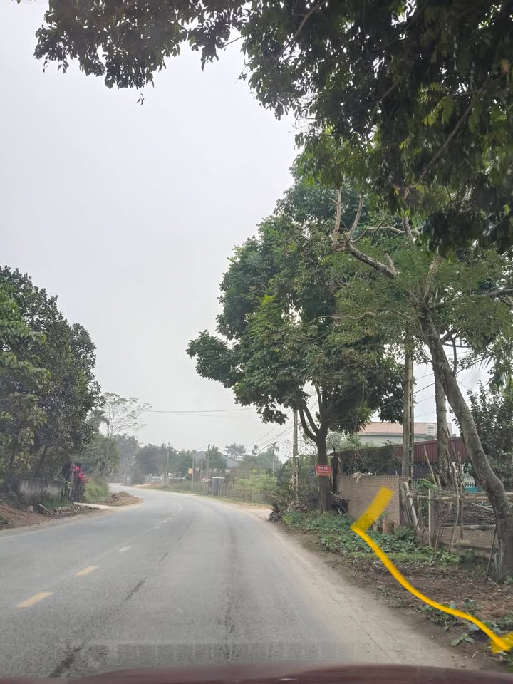 Đất mặt đường trục chính Hương Lung, Cẩm Khê 243m² - Cơ hội đầu tư tuyệt vời!