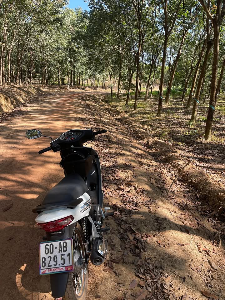 Đất vườn Phú Hòa, Phú Riềng 14500m² giá 2.5 tỷ - Tiềm năng phát triển cao!