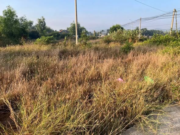 Đất nền Ninh Ích Ninh Hòa 68m² giá chỉ 400 triệu - Cơ hội đầu tư hấp dẫn!