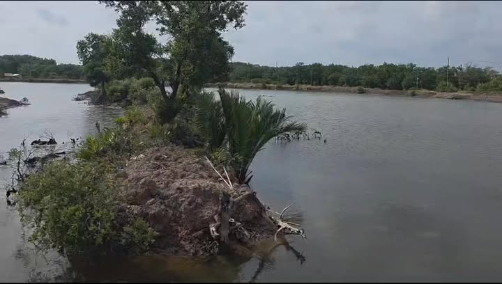 Đất nông nghiệp ấp Đnh Củ, xã Long Thành, 50000m² giá 13 tỷ - Đầu tư sinh lời hấp dẫn!