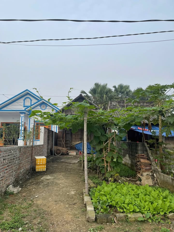 Đất thổ cư 100m² tại Khu 19, Hoàng Xá, Thanh Thủy - Cơ hội đầu tư hấp dẫn!