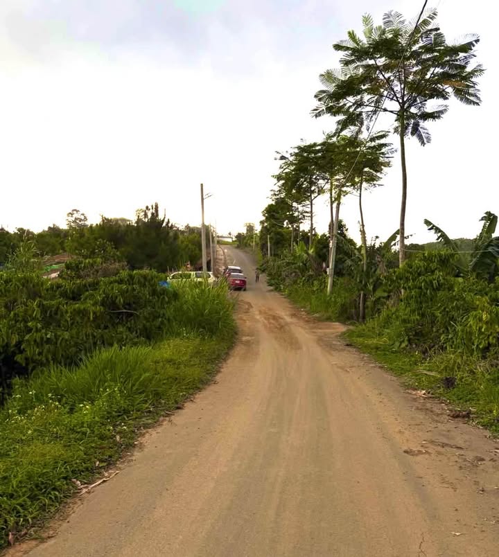 Đất nền Tân Lạc Bảo Lâm 2.5 sào giá 1.55 tỷ - Tiềm năng đầu tư lớn!